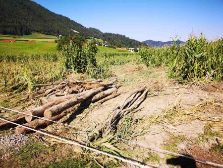 PGD Polhov Gradec (7)